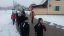 20130209_08412728029_resize_resize.jpg