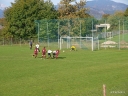 AN210415.JPG
