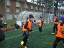 CIMG0115.JPG