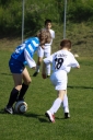 IMG_0765-31_resize.jpg