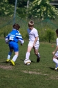 IMG_0767-33_resize.jpg