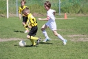 IMG_0863-112_resize.jpg