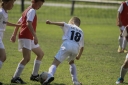 IMG_1384-65_resize.jpg