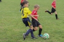 IMG_2095-19_resize.jpg