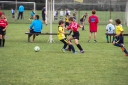 IMG_2107-23_resize.jpg