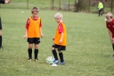 IMG_2117-29_resize.jpg