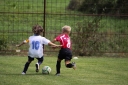 IMG_2204-73_resize.jpg