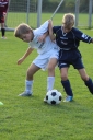 IMG_2393-29_resize.jpg