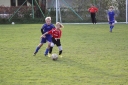 IMG_4254.JPG