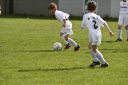 IMG_4584-2_resize.jpg