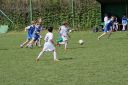 IMG_4619-2_resize.jpg