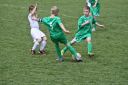 IMG_4633-2_resize.jpg