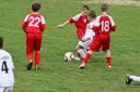 IMG_4699-2_resize.jpg