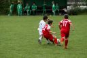 IMG_4735-2_resize.jpg