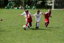 IMG_4736-2_resize.jpg
