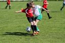 IMG_4850-2_resize.jpg