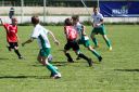 IMG_4855-2_resize.jpg