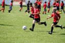 IMG_4868-2_resize.jpg