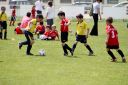 IMG_4973-2_resize.jpg