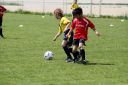 IMG_4974-2_resize.jpg