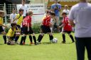 IMG_4976-2_resize.jpg