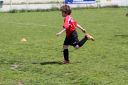 IMG_4977-2_resize.jpg