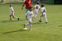 IMG_5048_resize.JPG
