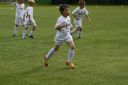 IMG_5052_resize.JPG
