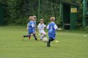IMG_5059-2_resize.jpg