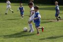 IMG_5084_resize.JPG