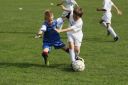 IMG_5087_resize.JPG