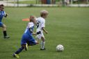 IMG_5094_resize.JPG