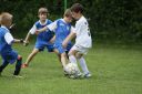 IMG_5108_resize.JPG