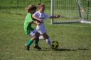 IMG_5412-2_resize.jpg