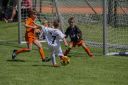 IMG_5489-2_resize.jpg