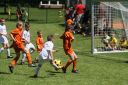 IMG_5495_resize.JPG