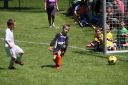IMG_5505_resize.JPG