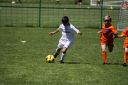 IMG_5508-2_resize.jpg