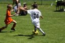 IMG_5510_resize.JPG