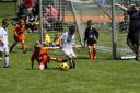 IMG_5521-2_resize.jpg