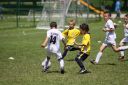 IMG_5535_resize.JPG