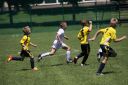IMG_5542-2_resize.jpg