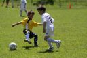 IMG_5550_resize.JPG