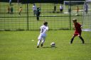 IMG_5560-2_resize.jpg