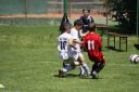 IMG_5564_resize.JPG