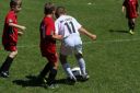 IMG_5569-2_resize.jpg