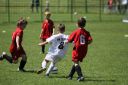 IMG_5583_resize.JPG