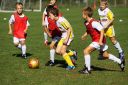 IMG_6875-2_resize.jpg