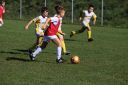 IMG_6879-2_resize.jpg
