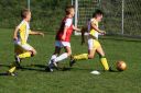 IMG_6881-2_resize.jpg
